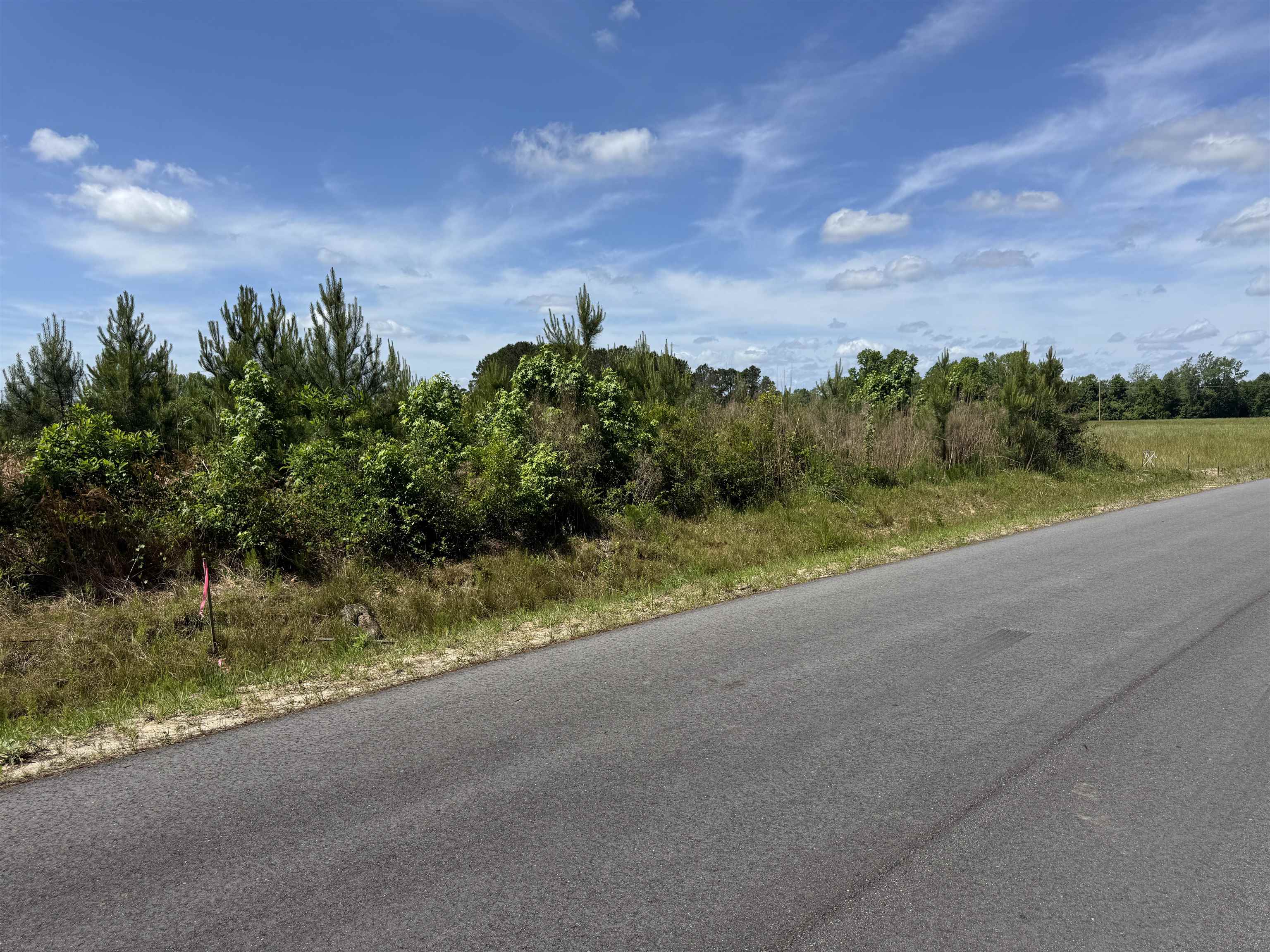 4782 Grainger Circle Green Sea, SC 29545 - Photo 17 of 17