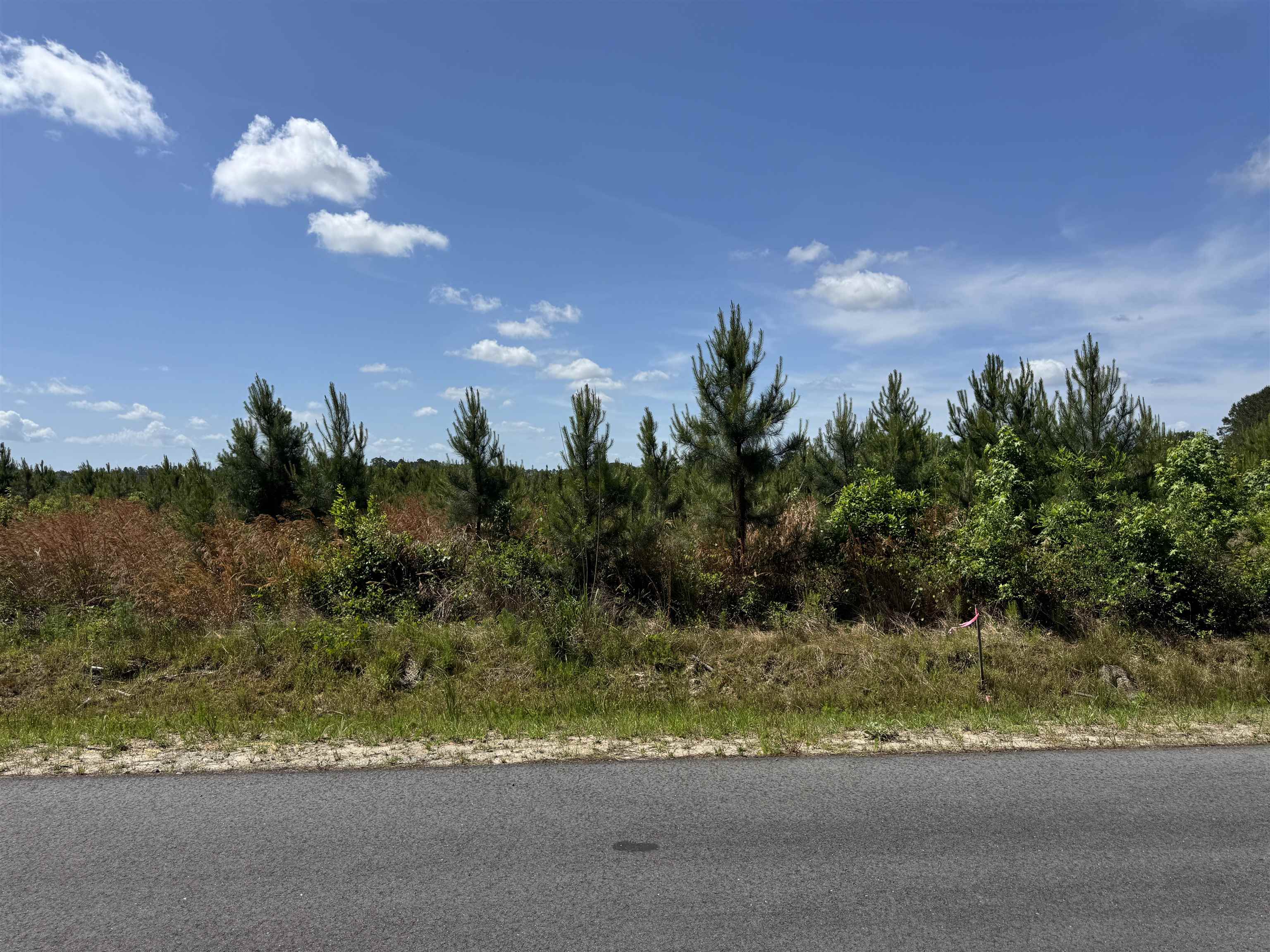 4782 Grainger Circle Green Sea, SC 29545 - Photo 9 of 17