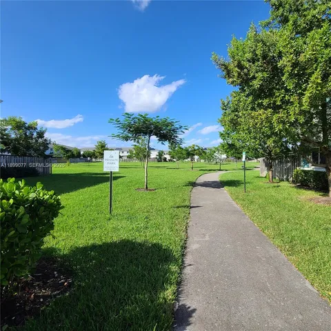 a view of a park with large trees