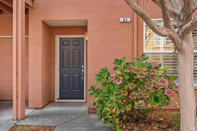 a potted plant in front of a door