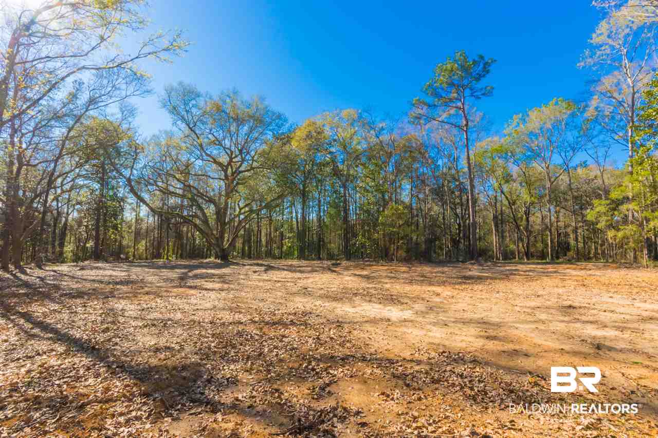 25923 Chene Trace Robertsdale, AL 36567 - Photo 3 of 9
