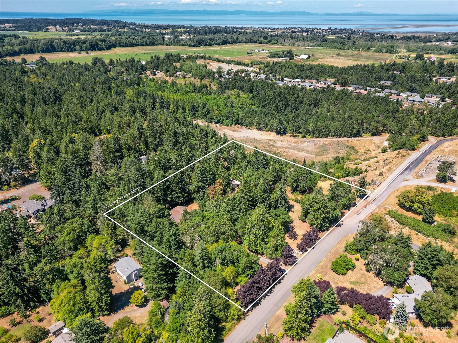 465 Kirner Road Sequim, WA 98382 - Photo 2 of 40 Gallery Image 2