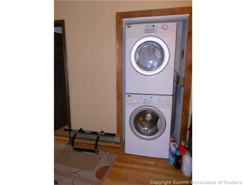 166 Fuller Placer Road, Unit 4 Breckenridge, CO 80424 - Photo 8 of 8 Other.