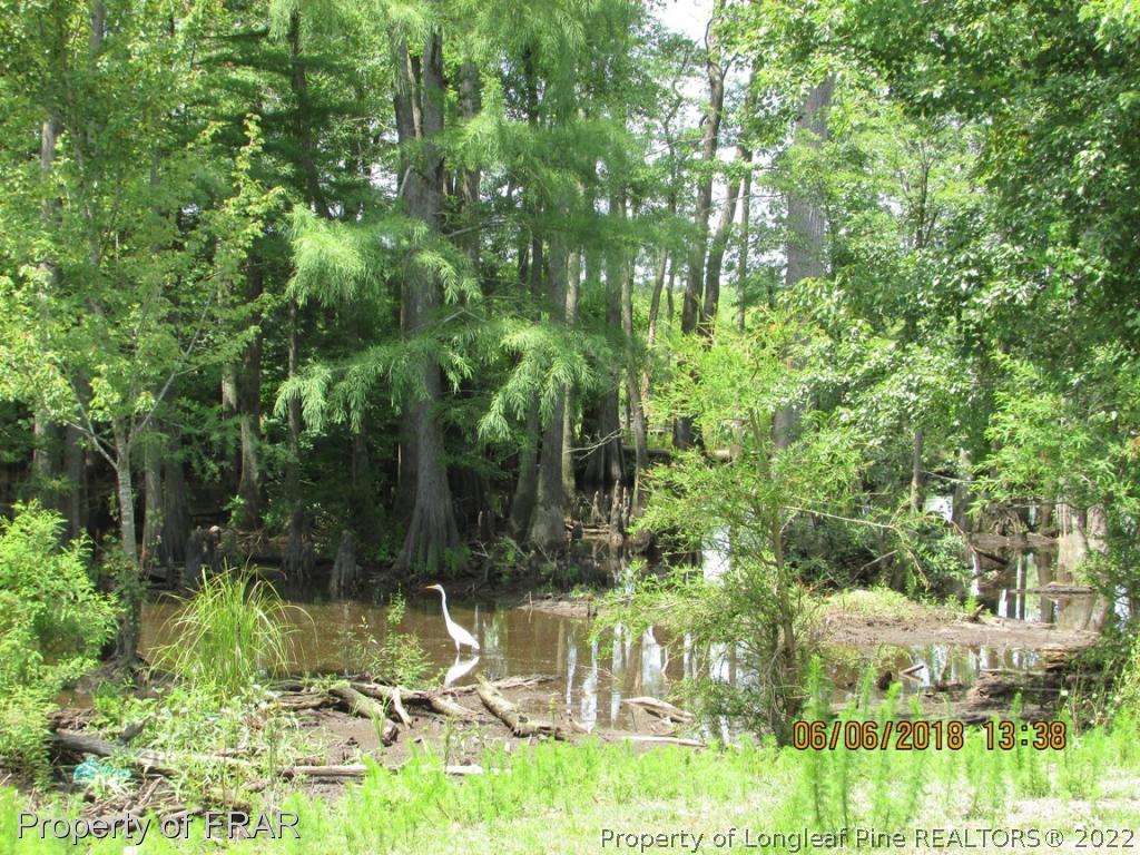 20 Page Road Godwin, NC 28344 - Photo 17 of 20 a view of yard