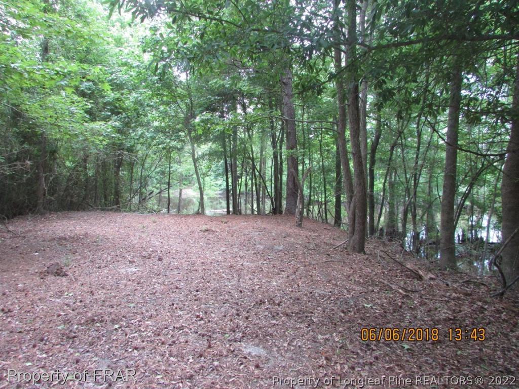 20 Page Road Godwin, NC 28344 - Photo 4 of 20 a view of outdoor space and trees