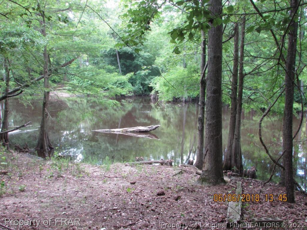 20 Page Road Godwin, NC 28344 - Photo 5 of 20 a backyard of a house with lots of green space