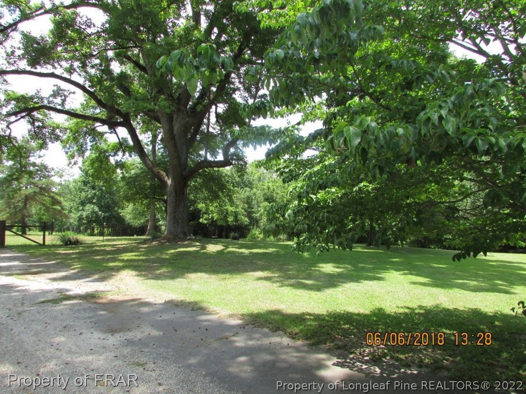 20 Page Road Godwin, NC 28344 - Photo 6 of 20 a view of a trees in a yard