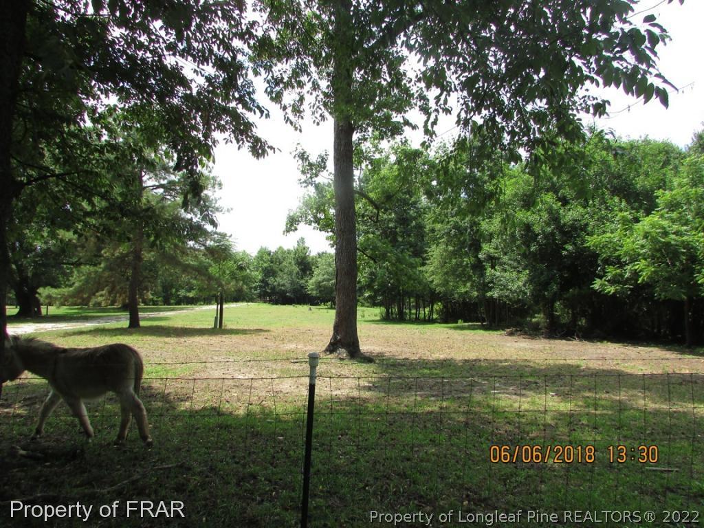 20 Page Road Godwin, NC 28344 - Photo 7 of 20 a view of outdoor space with garden