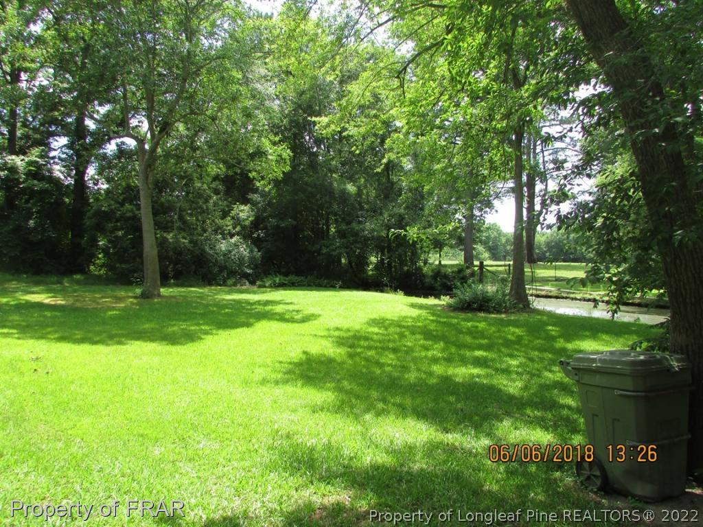 20 Page Road Godwin, NC 28344 - Photo 8 of 20 a view of green field with trees in the background
