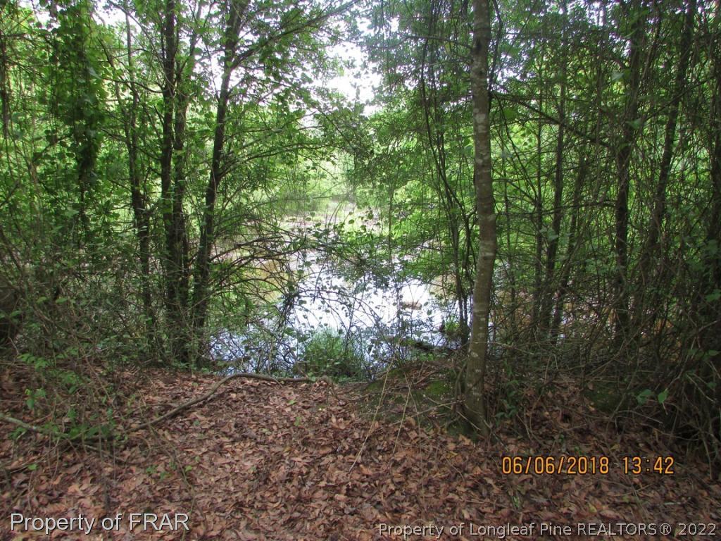 20 Page Road Godwin, NC 28344 - Photo 10 of 20 a view of a forest with lots of trees