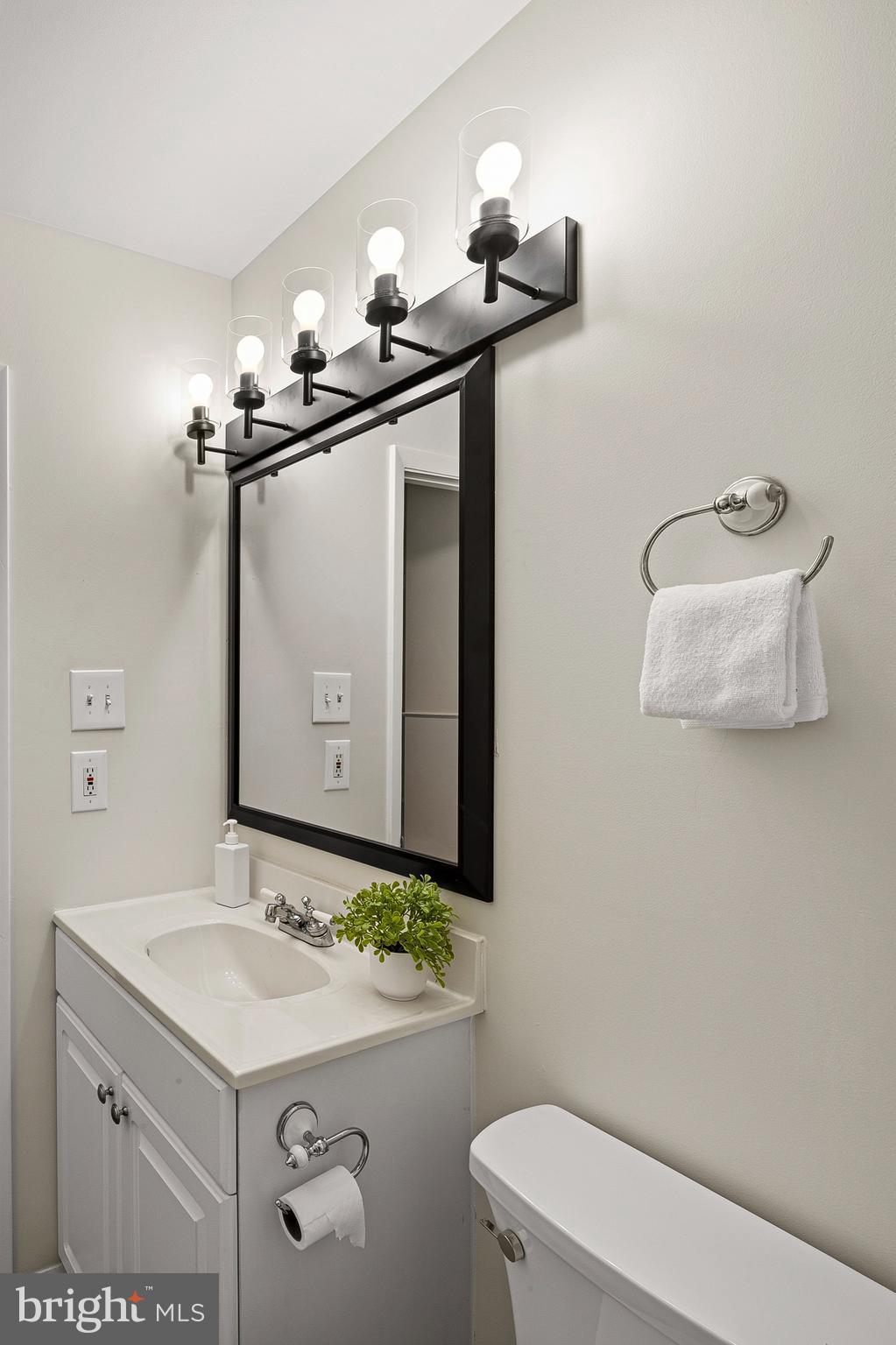 982 Fall Cir Way Gambrills, MD 21054 - Photo 15 of 32 a bathroom with a sink a toilet and mirror