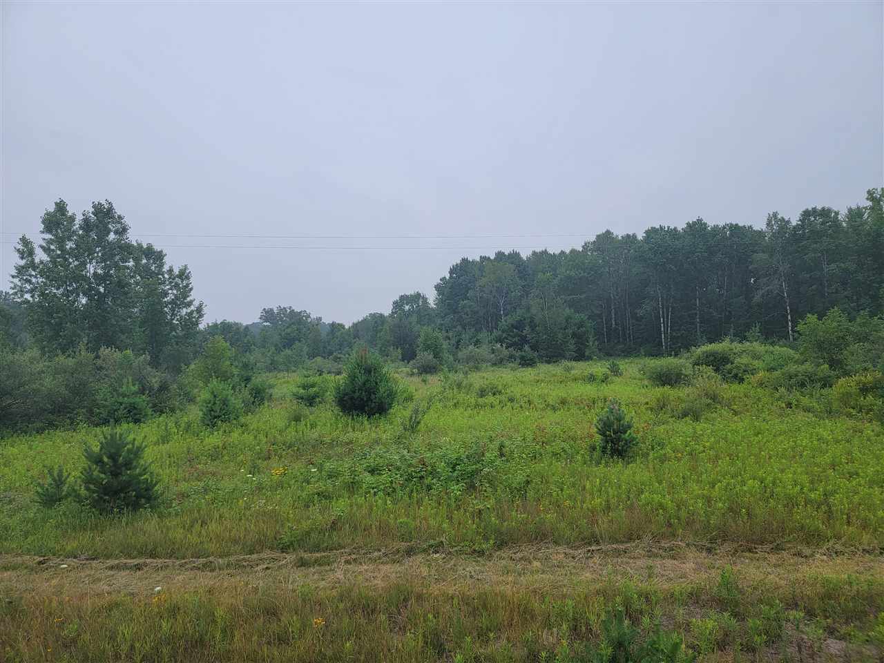 West Calhoun Road Beaverton, MI 48612 - Photo 3 of 5