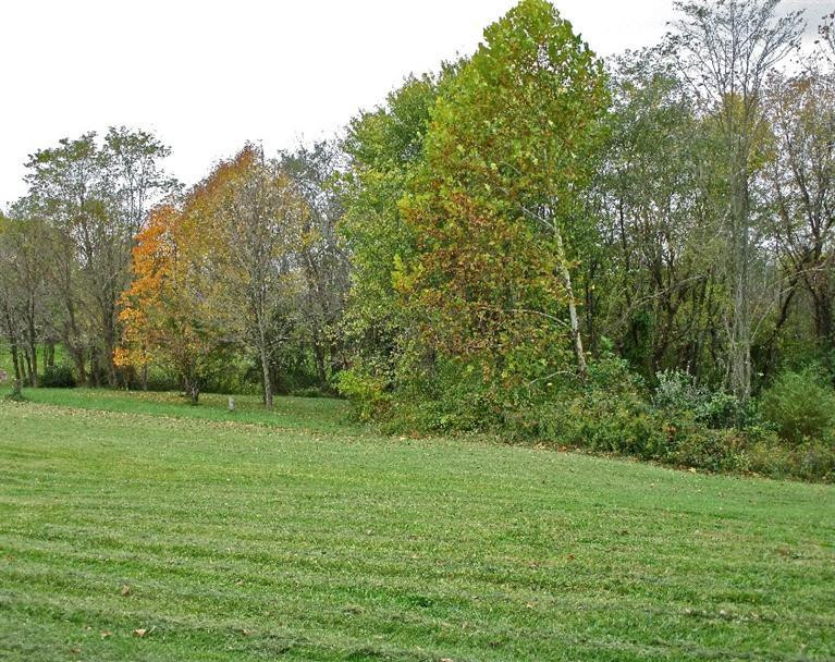 6847 East Bend Road Burlington, KY 41005 - Photo 6 of 15 Gallery Image 6