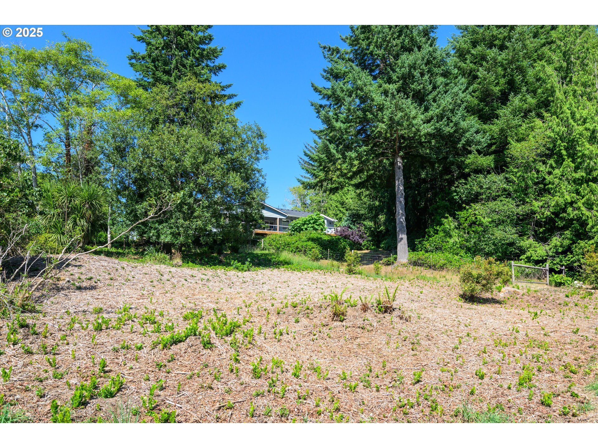 View Loop, Unit 3 Florence, OR 97439 - Photo 4 of 15 a view of a yard with plants and trees