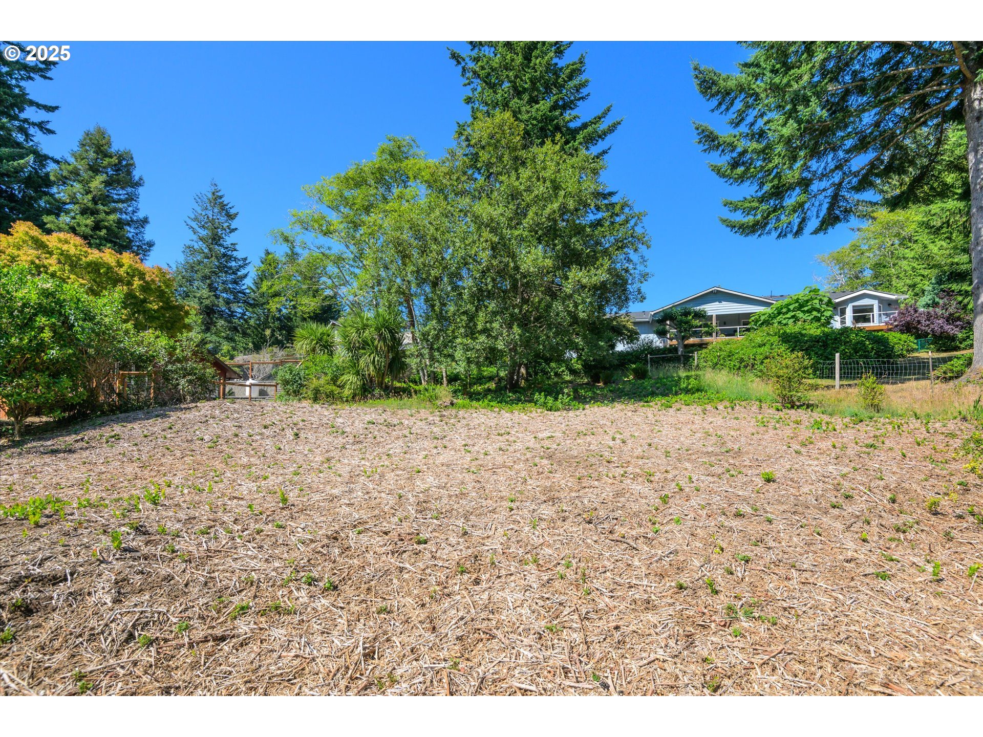 View Loop, Unit 3 Florence, OR 97439 - Photo 6 of 15 a view of a yard