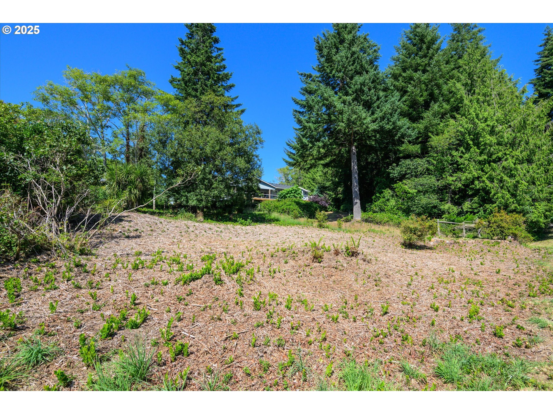 View Loop, Unit 3 Florence, OR 97439 - Photo 7 of 15 a view of a backyard of a house