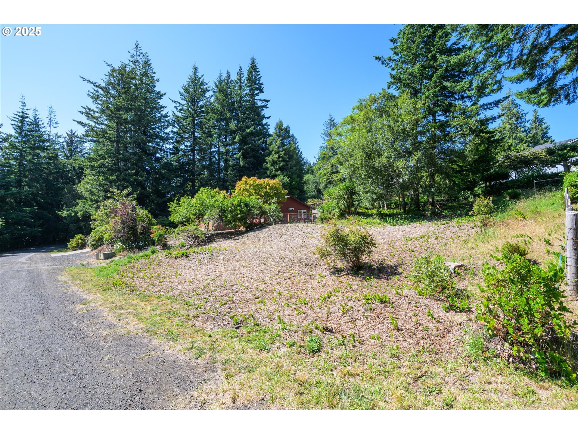 View Loop, Unit 3 Florence, OR 97439 - Photo 9 of 15 a view of a yard with a tree