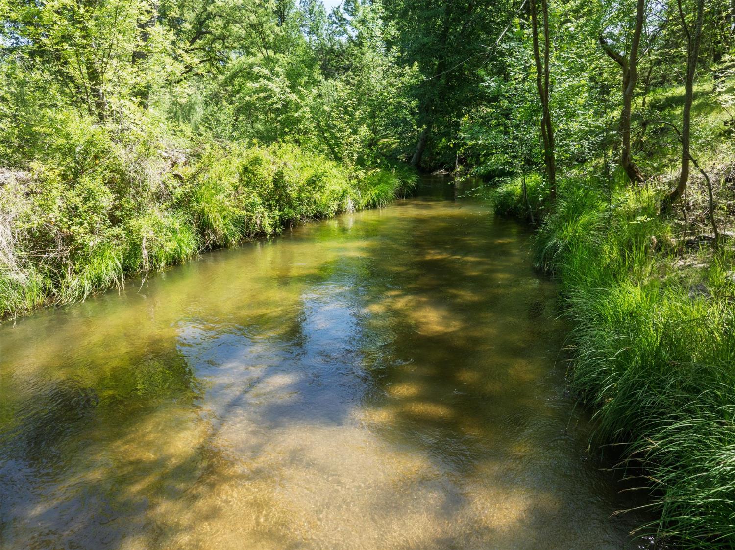 46055 Sutton Drive Oakhurst, CA 93644 - Photo 55 of 68