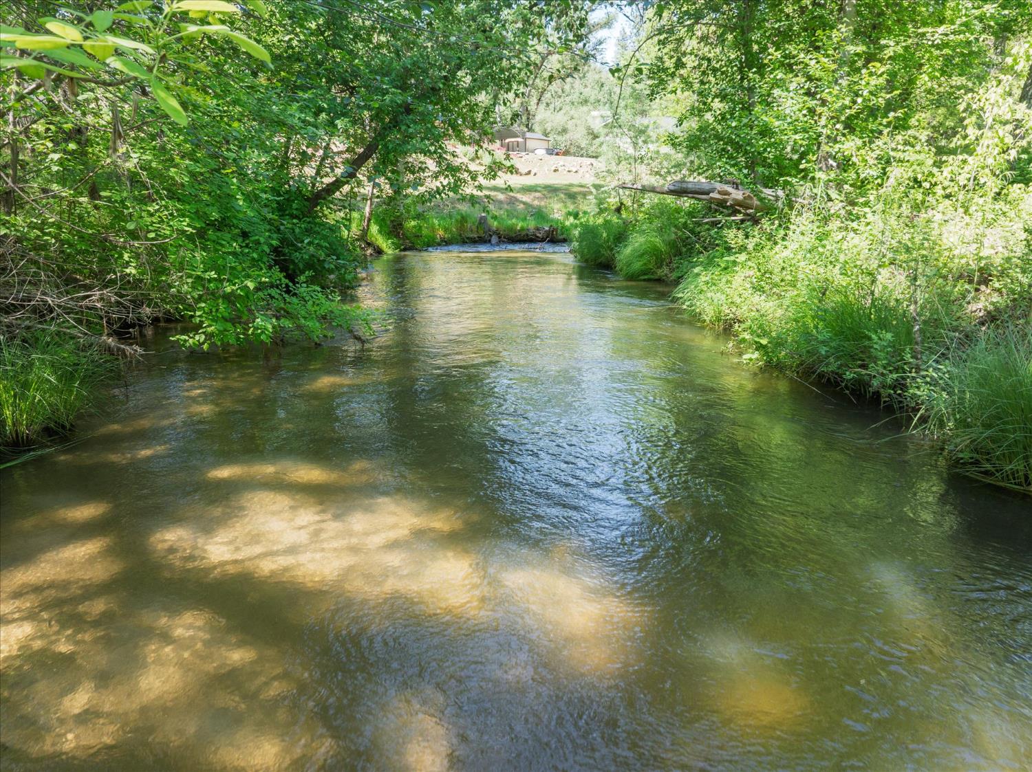 46055 Sutton Drive Oakhurst, CA 93644 - Photo 57 of 68