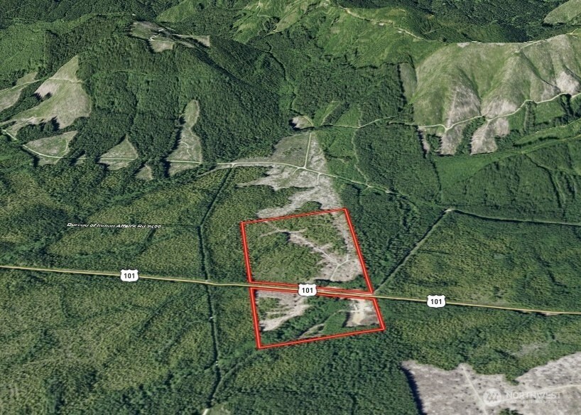 7507 Highway 101 Amanda Park, WA 98526 - Photo 6 of 30