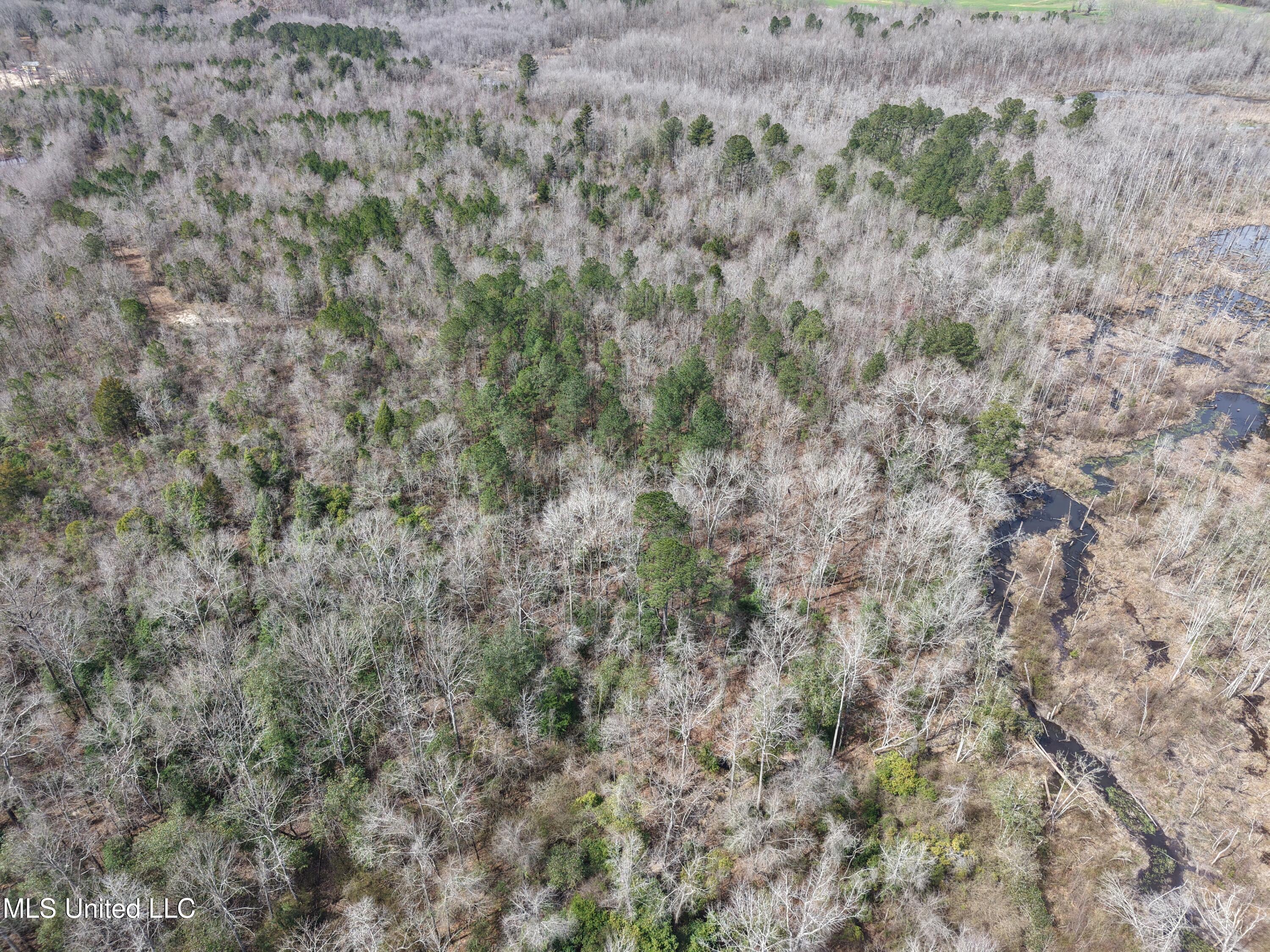 Clyde Evans Road Newton, MS 39345 - Photo 23 of 28 DJI_20250307115126_0036_D