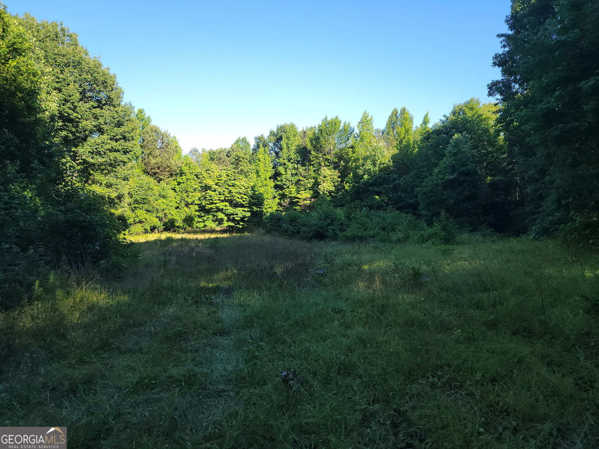 833 Neal Gap Road Summerville, GA 30747 - Photo 80 of 86