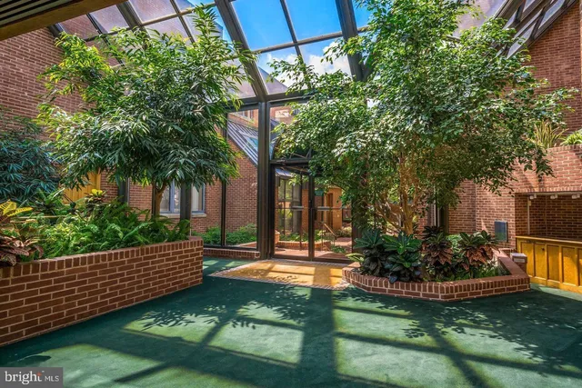 a view of a backyard with couches plants and large trees