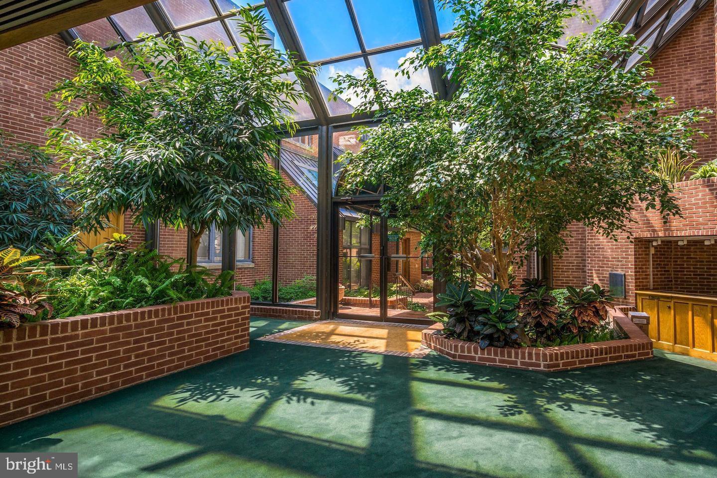 1080 Wisconsin Avenue Northwest, Unit 501 Washington, DC 20007 - Photo 4 of 36 a view of a backyard with couches plants and large trees