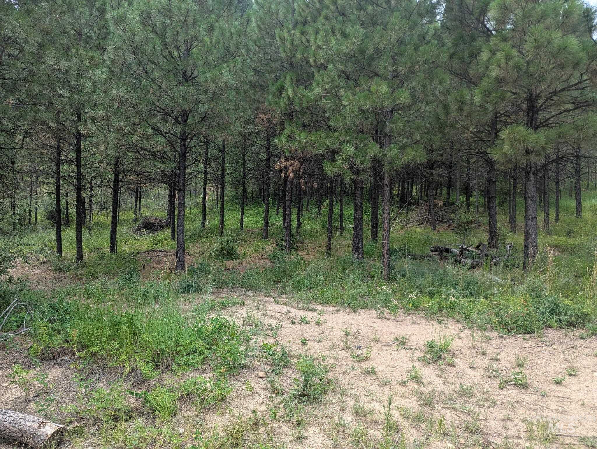Lot 4 Plateau Road Lowman, ID 83637 - Photo 1 of 4 Gallery Image 1