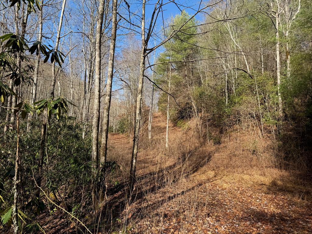135.49-ac Webb Creek Road Andrews, NC 28901 - Photo 13 of 34