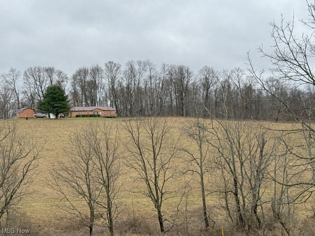 1357 Sand Ridge Road Zanesville, OH 43701 - Photo 23 of 50 View of yard