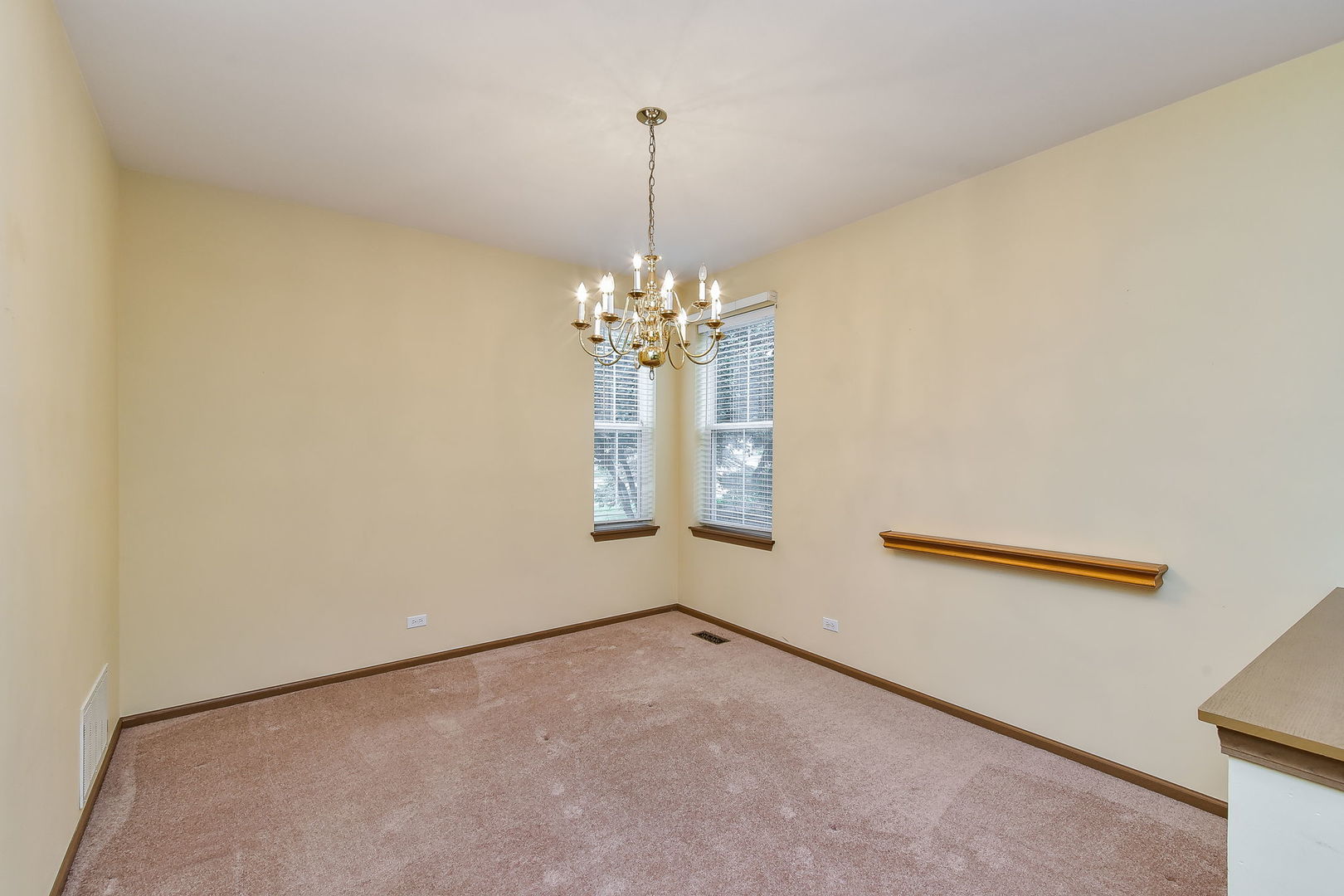 316 Grand Ridge Road St. Charles, IL 60175 - Photo 5 of 20