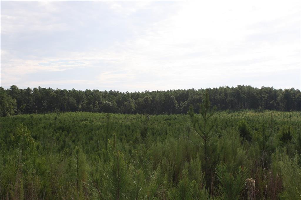 0 Balerma Church Road Sparta, GA 31087 - Photo 11 of 19 Gallery Image 11