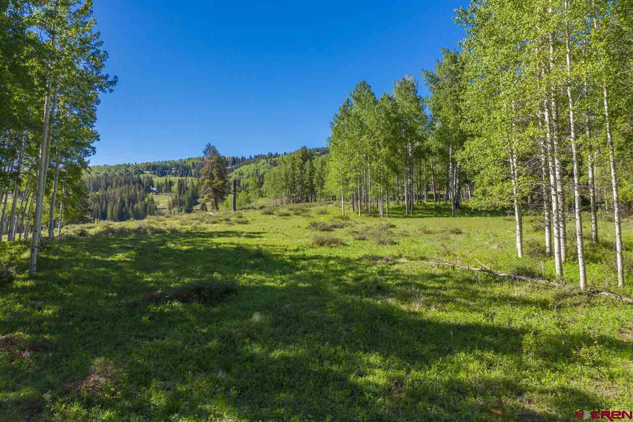 264 Squaw Gulch Road Crested Butte, CO 81224 - Photo 11 of 29 Gallery Image 11