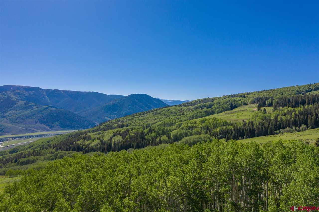 264 Squaw Gulch Road Crested Butte, CO 81224 - Photo 17 of 29 Gallery Image 17