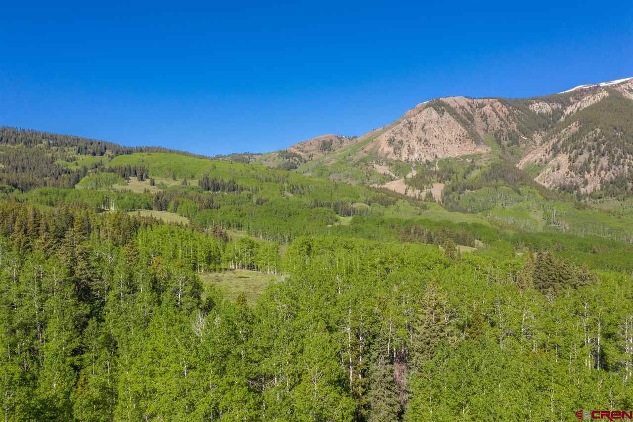 264 Squaw Gulch Road Crested Butte, CO 81224 - Photo 20 of 29 Gallery Image 20