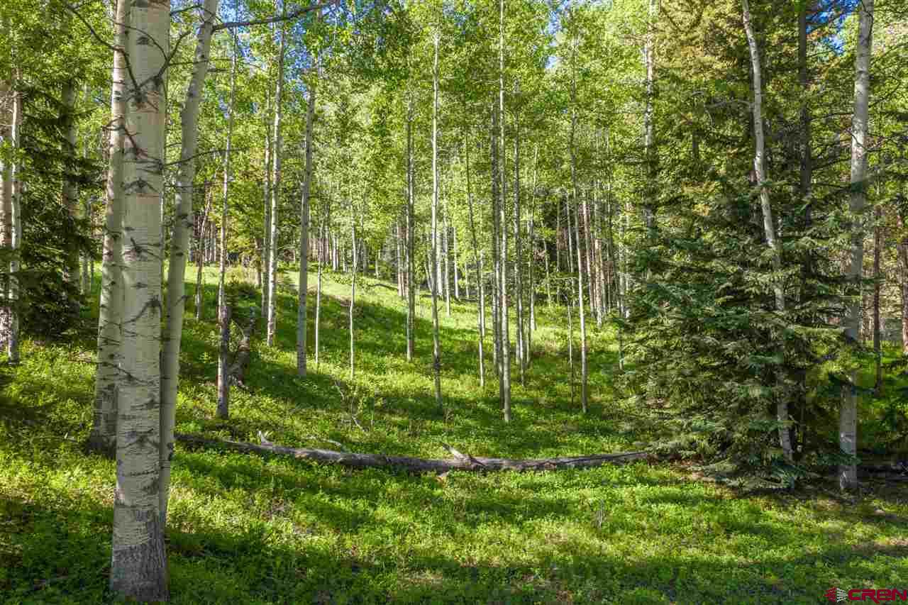 264 Squaw Gulch Road Crested Butte, CO 81224 - Photo 3 of 29 Gallery Image 3