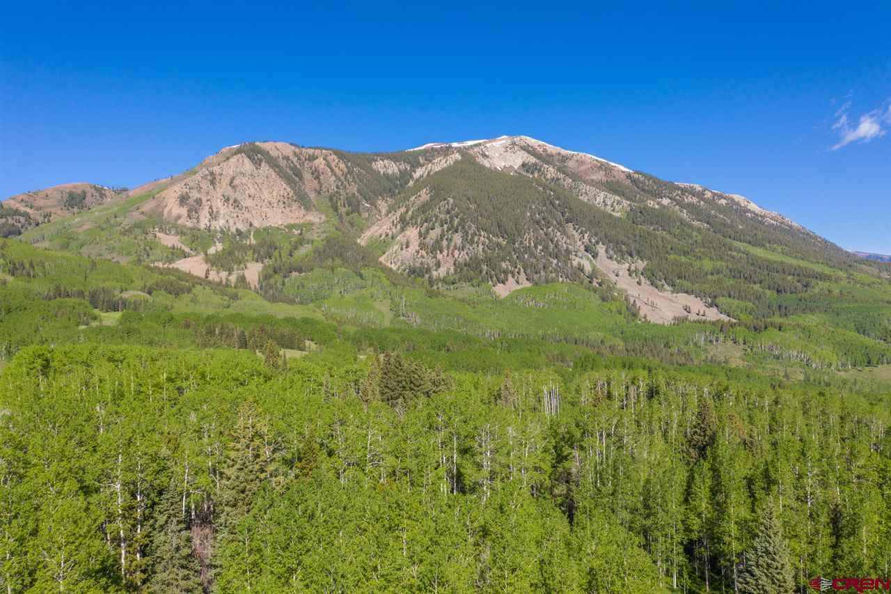 264 Squaw Gulch Road Crested Butte, CO 81224 - Photo 21 of 29 Gallery Image 21