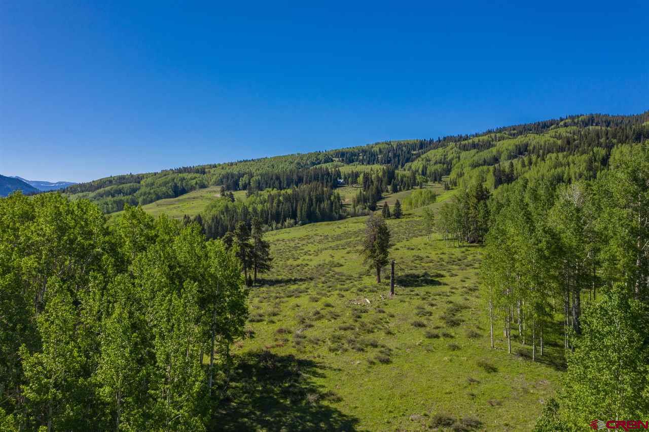264 Squaw Gulch Road Crested Butte, CO 81224 - Photo 23 of 29 Gallery Image 23