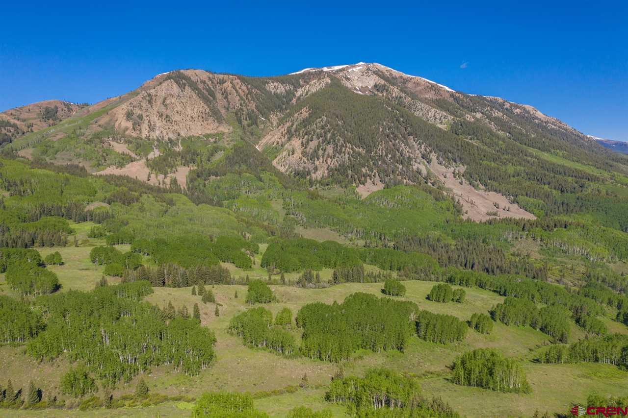 264 Squaw Gulch Road Crested Butte, CO 81224 - Photo 29 of 29 Gallery Image 29