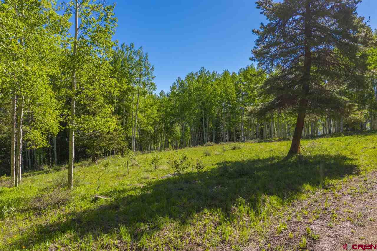 264 Squaw Gulch Road Crested Butte, CO 81224 - Photo 4 of 29 Gallery Image 4