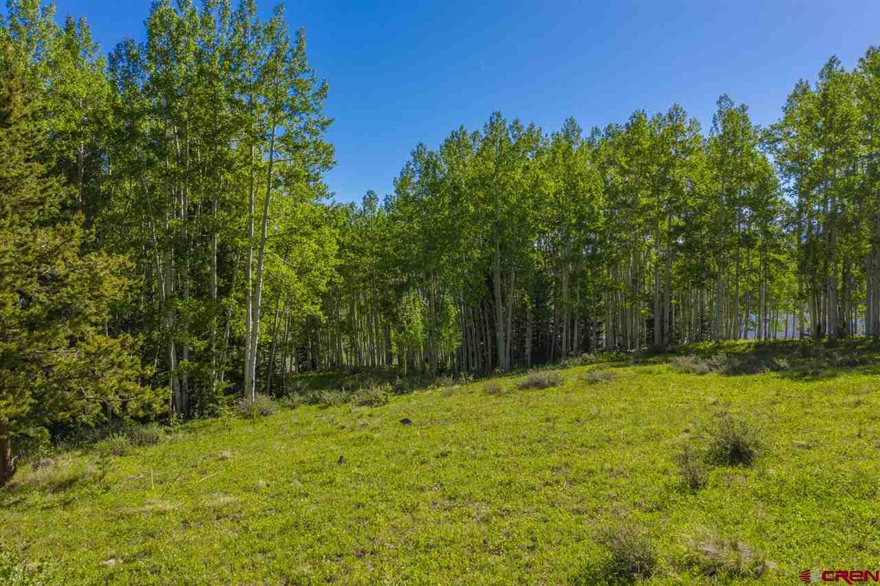 264 Squaw Gulch Road Crested Butte, CO 81224 - Photo 5 of 29 Gallery Image 5