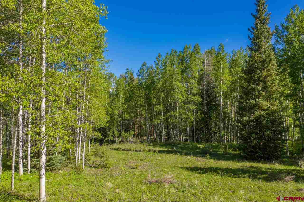 264 Squaw Gulch Road Crested Butte, CO 81224 - Photo 6 of 29 Gallery Image 6