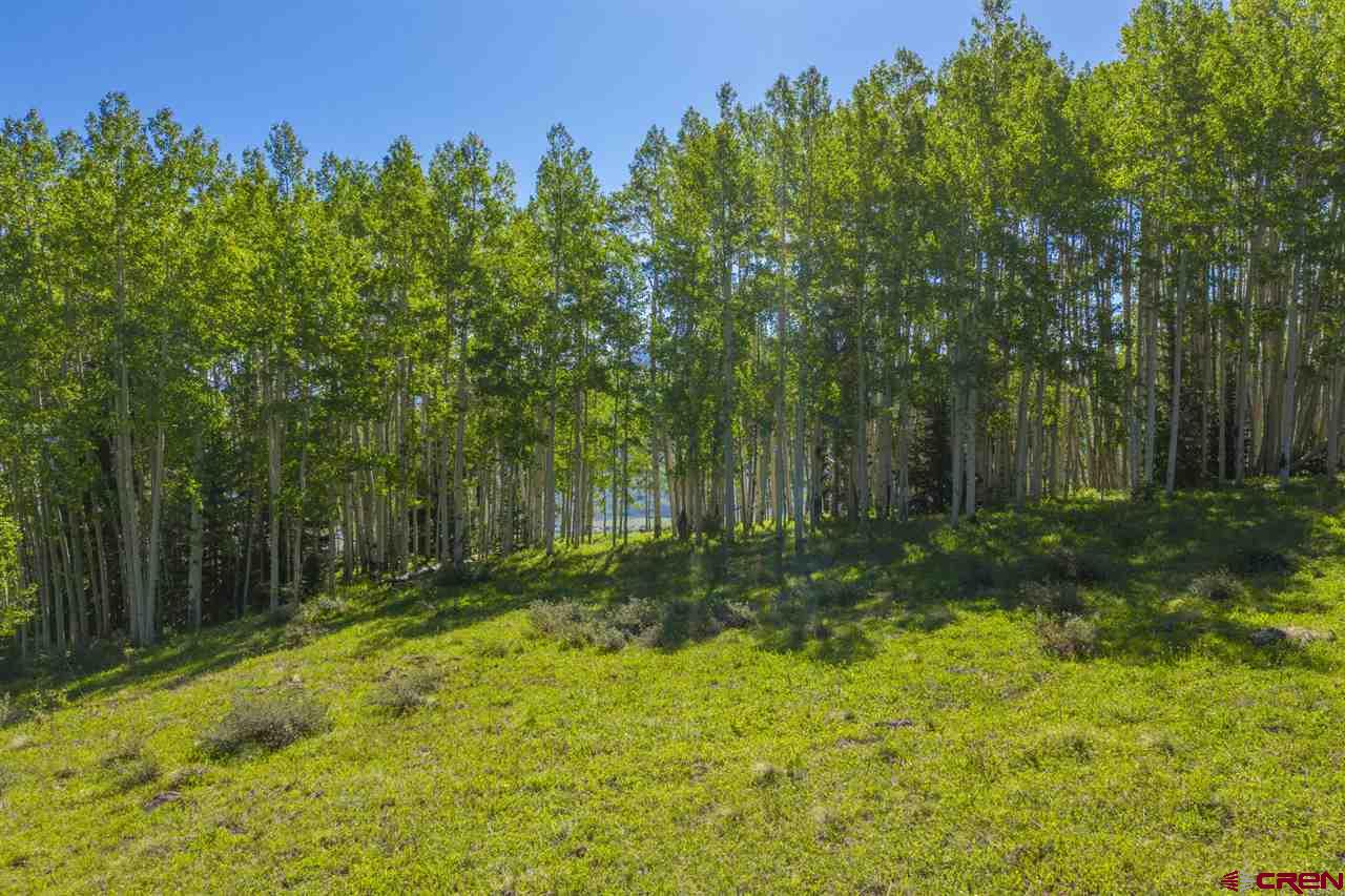 264 Squaw Gulch Road Crested Butte, CO 81224 - Photo 7 of 29 Gallery Image 7