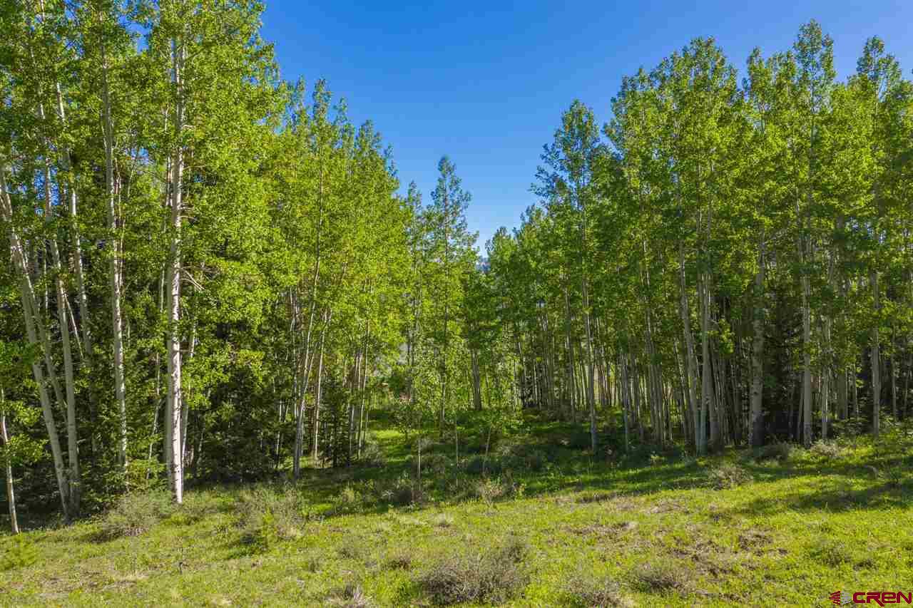 264 Squaw Gulch Road Crested Butte, CO 81224 - Photo 8 of 29 Gallery Image 8