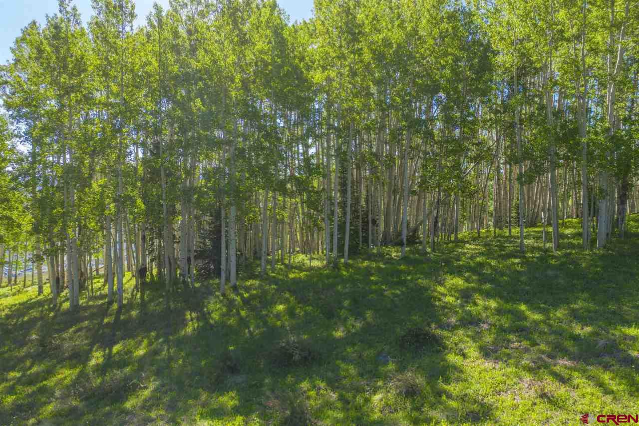 264 Squaw Gulch Road Crested Butte, CO 81224 - Photo 9 of 29 Gallery Image 9