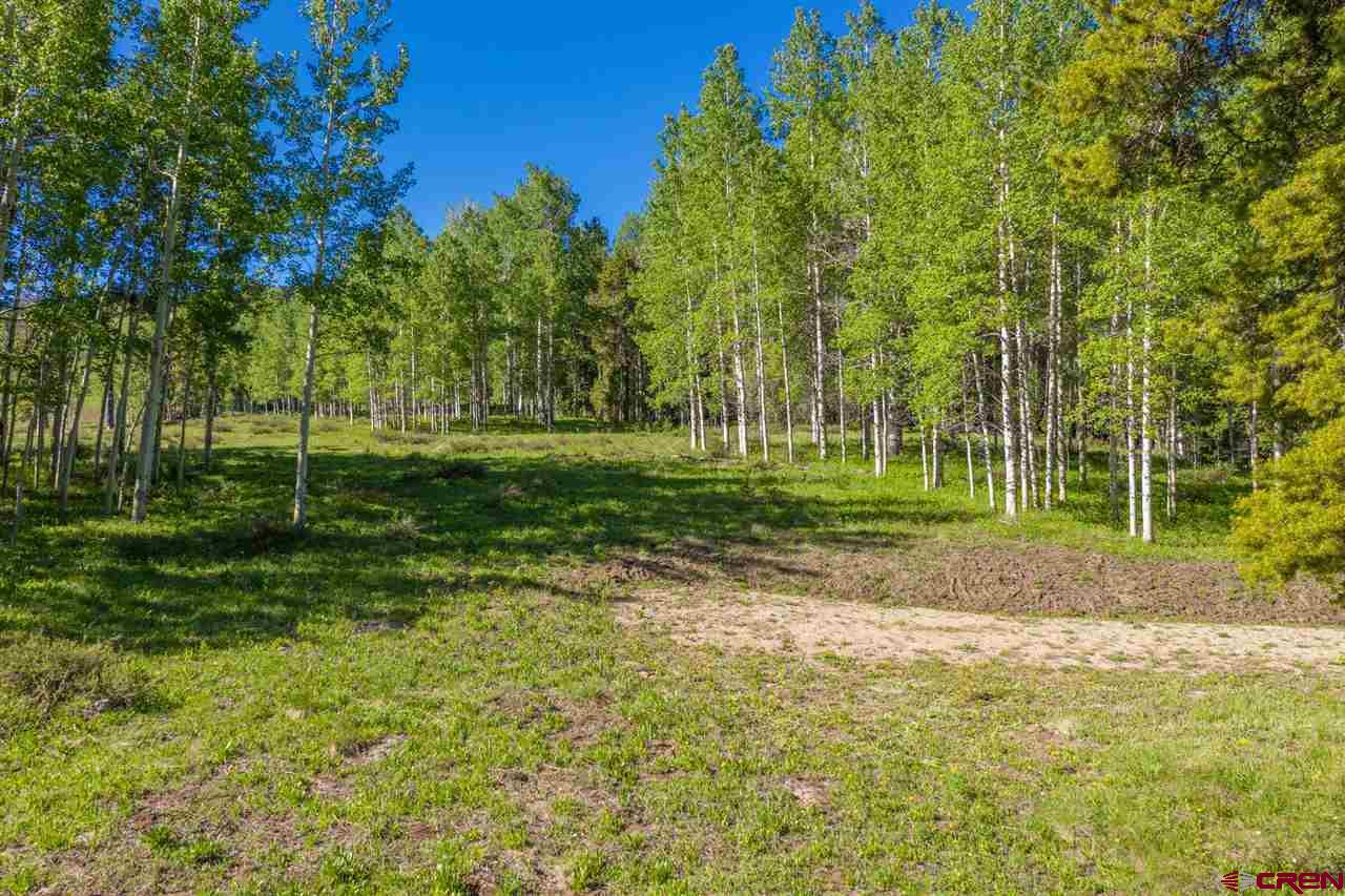 264 Squaw Gulch Road Crested Butte, CO 81224 - Photo 10 of 29 Gallery Image 10