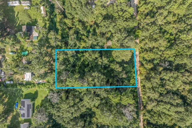 a view of a forest from a balcony