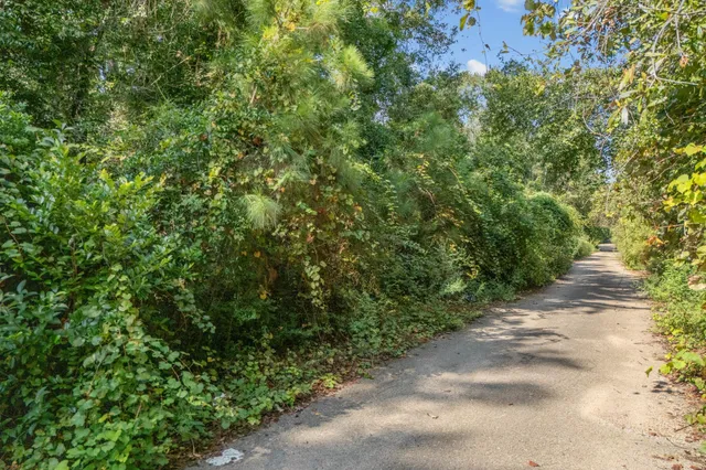 a view of a plants with a plant