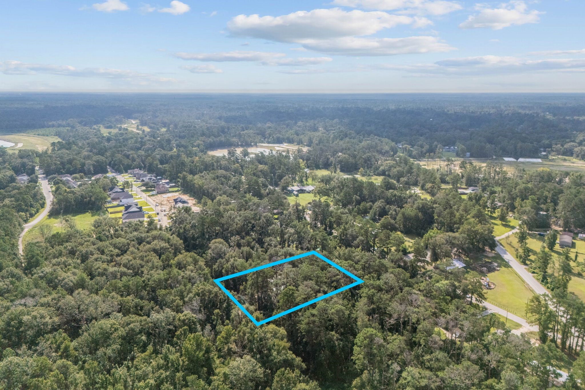 Tbd Hickory Drive Splendora, TX 77372 - Photo 6 of 18